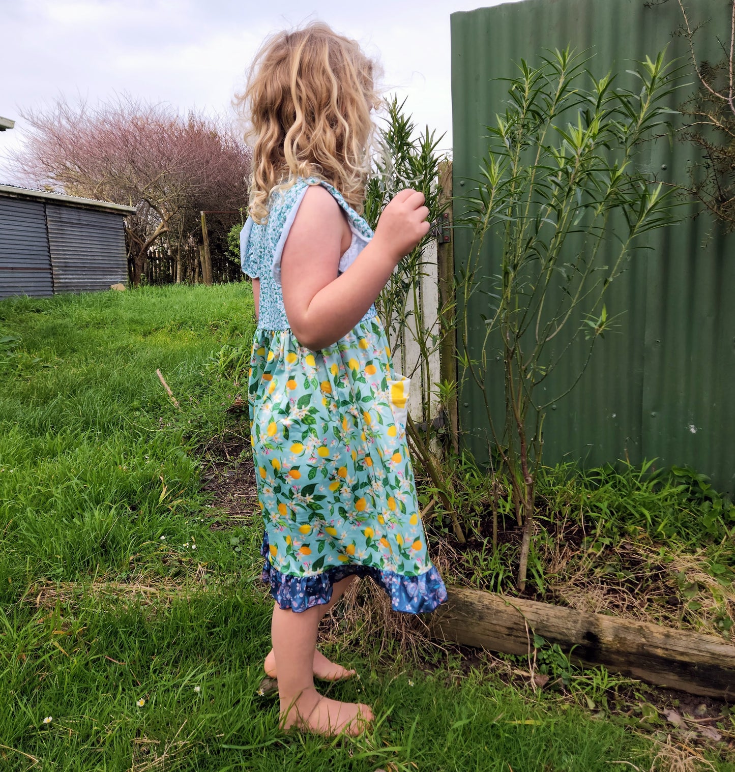 Arianley Lemonzy Dress