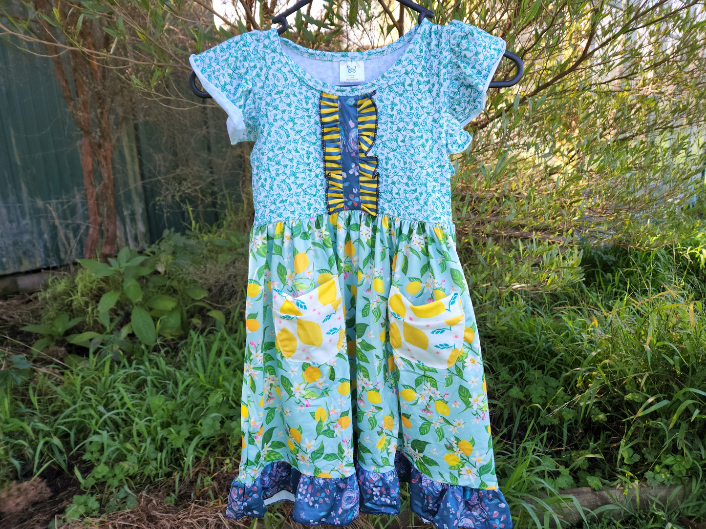 Arianley Lemonzy Dress