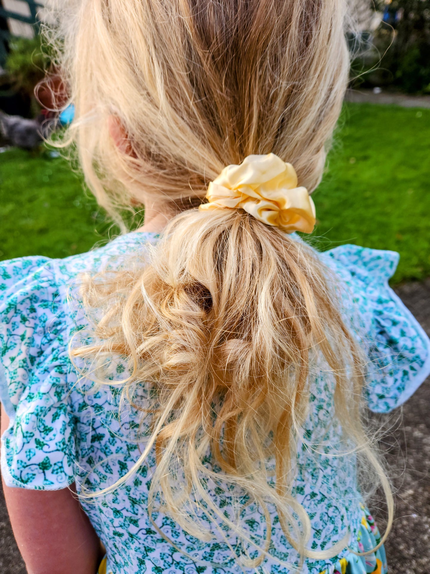 Arianley Lemonzy Dress