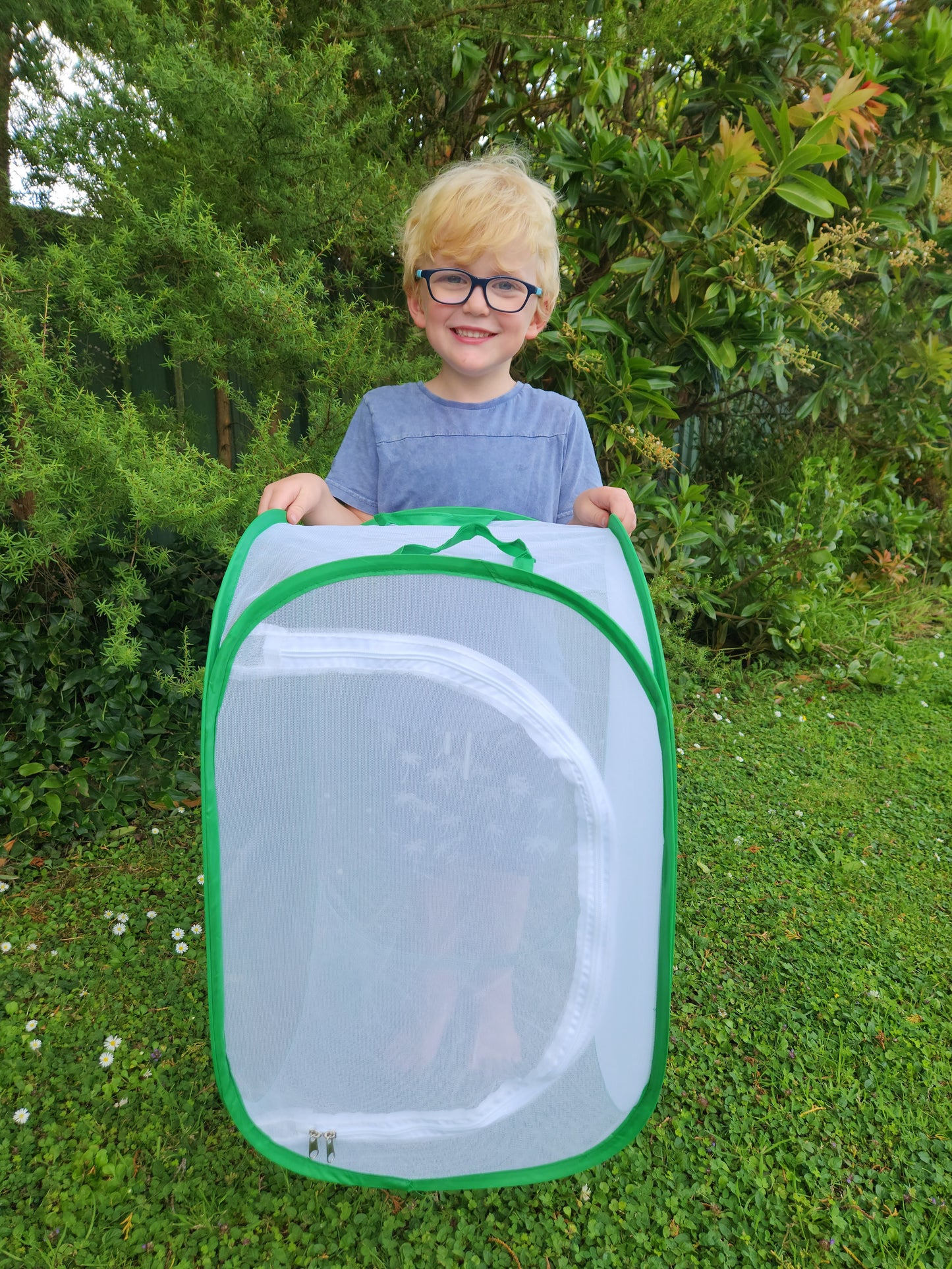 Large Butterfly House