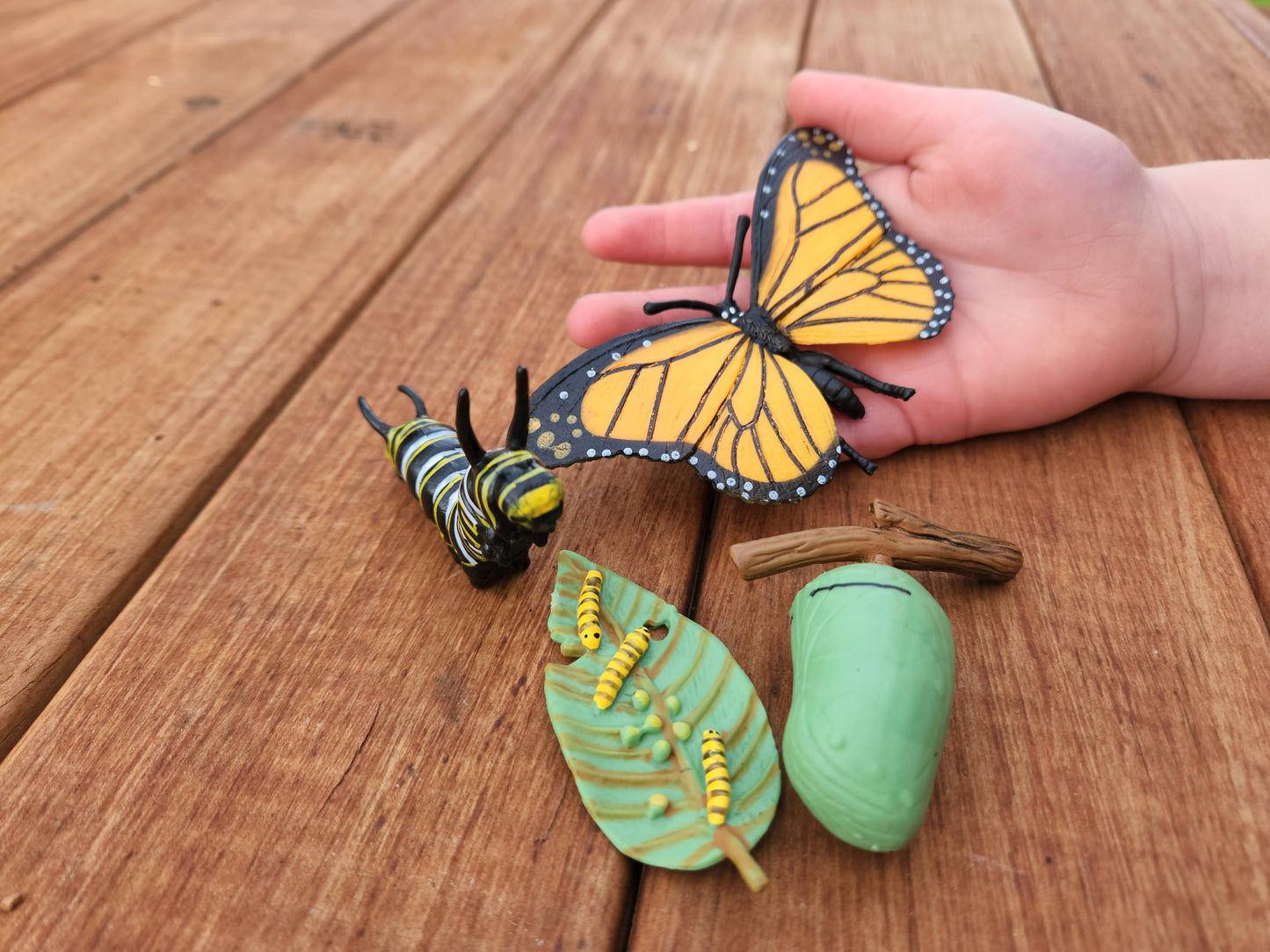 Montessori Life Cycle Board + Animal Sets