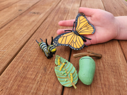 Montessori Life Cycle Board + Animal Sets