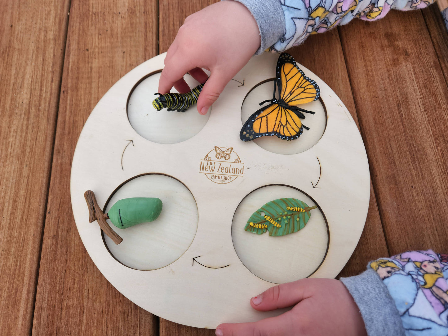 Montessori Life Cycle Board + Animal Sets