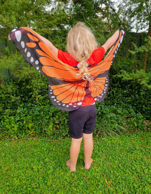 Monarch Butterfly Wings