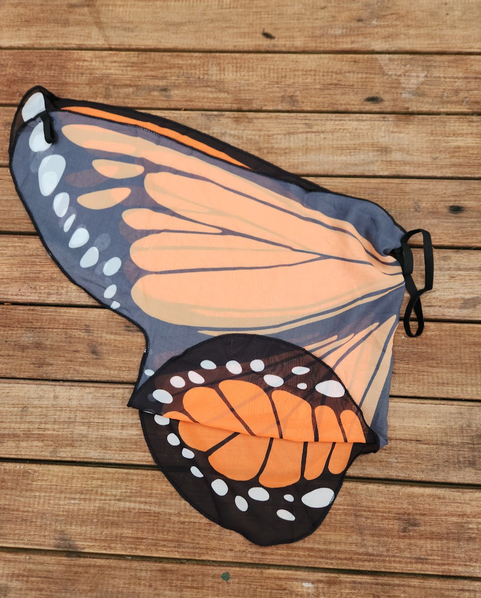 Monarch Butterfly Wings
